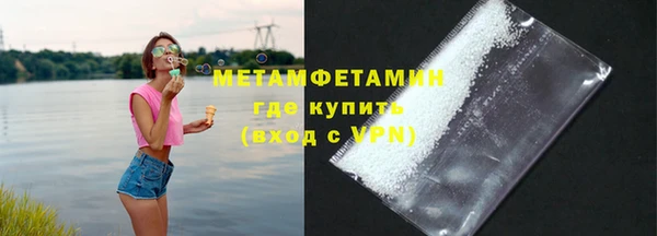 прущие грибы Магадан